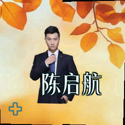 陈启航